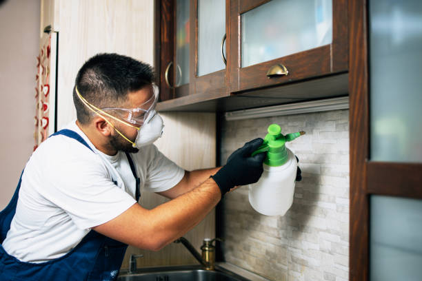 Professional Pest Control in Dyer, TN