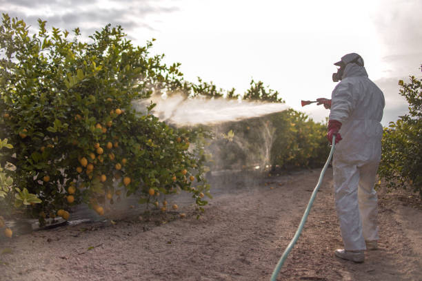 Best Best Pest Control Companies  in Dyer, TN