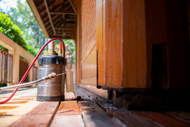Best Ant Control Services  in Dyer, TN