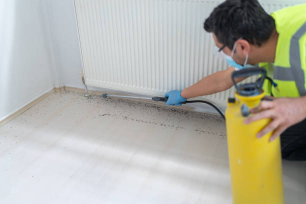 Pest Prevention Services in Dyer, TN